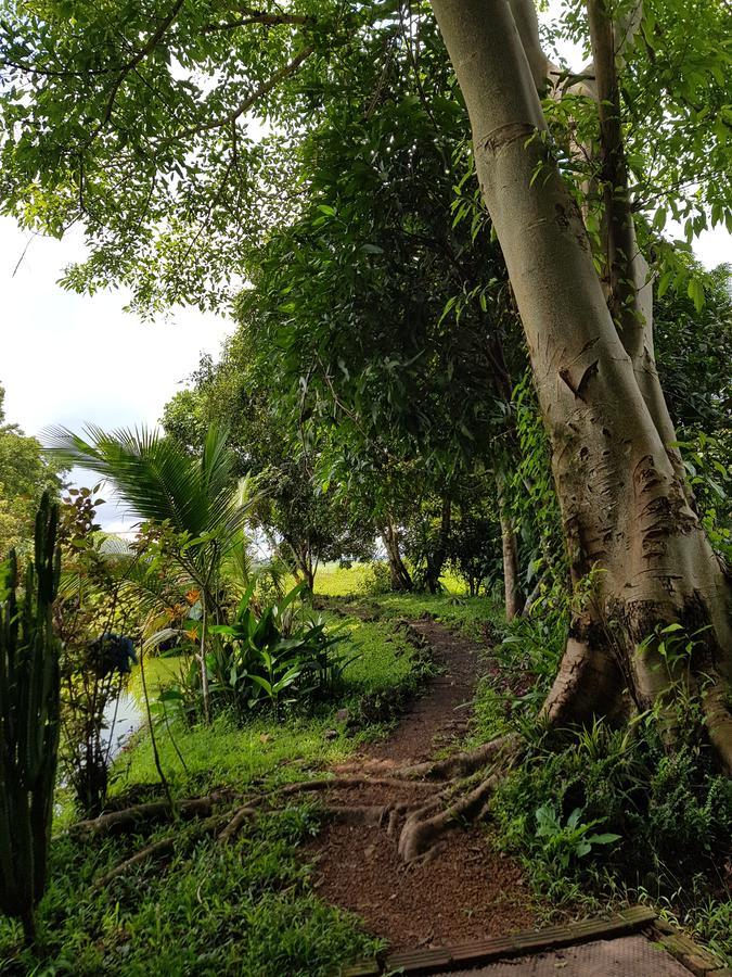Kingfisher Ecolodge Ban Kian-Ngong Bagian luar foto