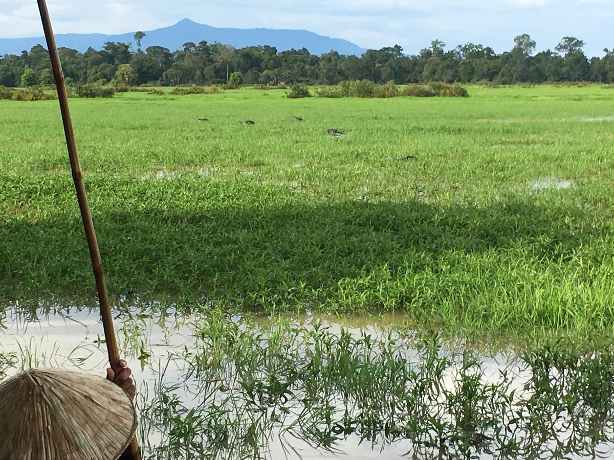 Kingfisher Ecolodge Ban Kian-Ngong Bagian luar foto